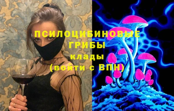дживик Нефтекумск