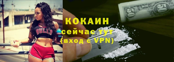 каннабис Новозыбков
