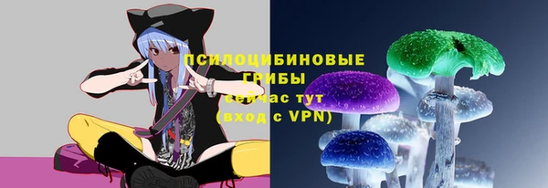 дживик Нефтекумск