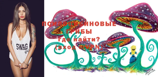 экстази Новодвинск