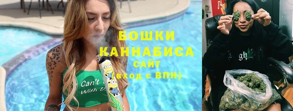 каннабис Новозыбков