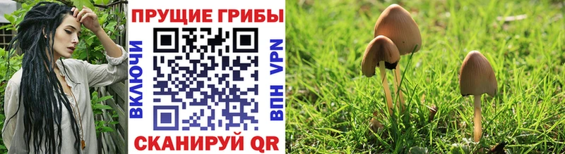 Псилоцибиновые грибы Psilocybine cubensis  blacksprut рабочий сайт  Камешково 