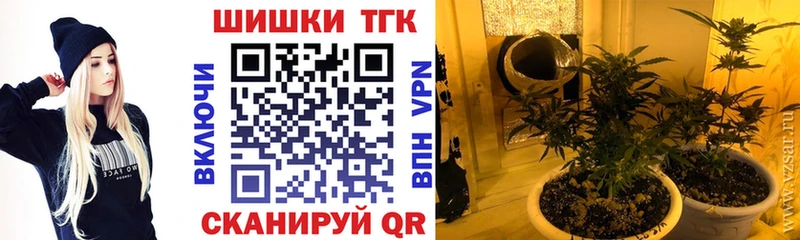 Шишки марихуана семена  блэк спрут онион  Камешково  даркнет сайт 
